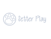 Setter Play